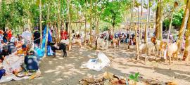 Masjid Nurussalam Padukuhan Mendongan Sembelih 33 Hewan Kurban